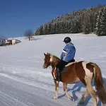'zum Alten Turm' Locanda Haslach an der Mühl