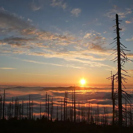 'zum Alten Turm' Inn Haslach an der Mühl