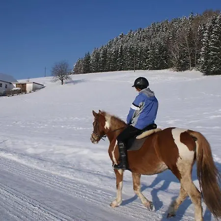'zum Alten Turm' Herberg Haslach an der Mühl