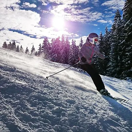 Gasthof 'zum Alten Turm' 2*
