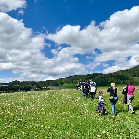 Han/Misafirhane 'zum Alten Turm' 2*