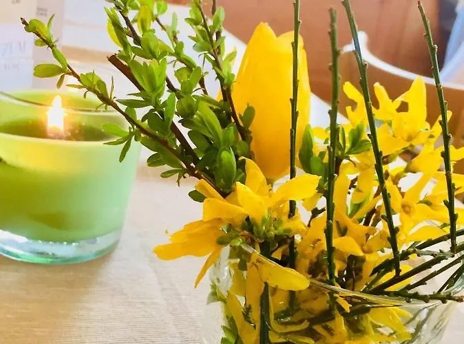 Värdshus 'zum Alten Turm'