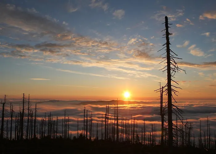 'zum Alten Turm' Värdshus Haslach an der Mühl