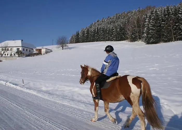 'zum Alten Turm' Värdshus Haslach an der Mühl