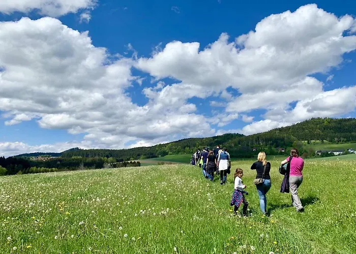 Värdshus 'zum Alten Turm' 2*
